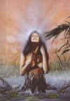 np11.jpg (81915 Byte)