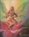 np25.jpg (118223 Byte)