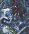 np30.jpg (121839 Byte)