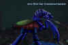 fg1.jpg (82285 Byte)