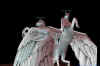 sky1.jpg (74215 Byte)
