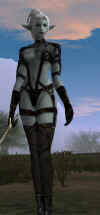 lin1.jpg (45641 Byte)