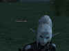 lin2.jpg (40005 Byte)