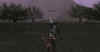 lin9.jpg (92204 Byte)