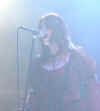 wgt29.jpg (53413 Byte)