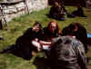 bu20.jpg (24878 Byte)