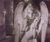 angel.jpg (334846 Byte)
