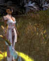 gw10.jpg (88627 Byte)