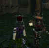 gw13.jpg (48044 Byte)