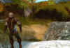 gw23.jpg (144083 Byte)