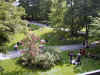 lp0205.jpg (1139050 Byte)