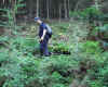 schwammerl008.JPG (114840 Byte)