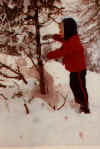 lil3.jpg (17332 Byte)