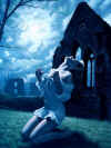 rr.jpg (166182 Byte)